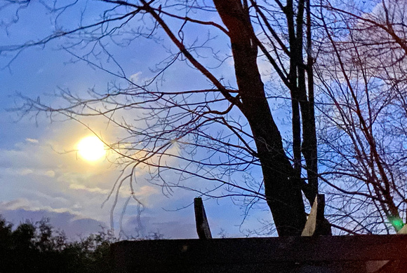 Full moon from the backyard